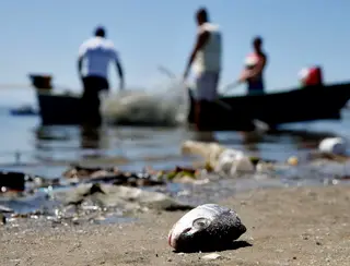 Projeto preserva cultura da pesca artesanal de mexilhões em Niterói