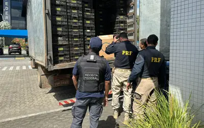 Receita Federal e PRF apreendem 165 mil maços de cigarros contrabandeados do Paraguai em operação conjunta
